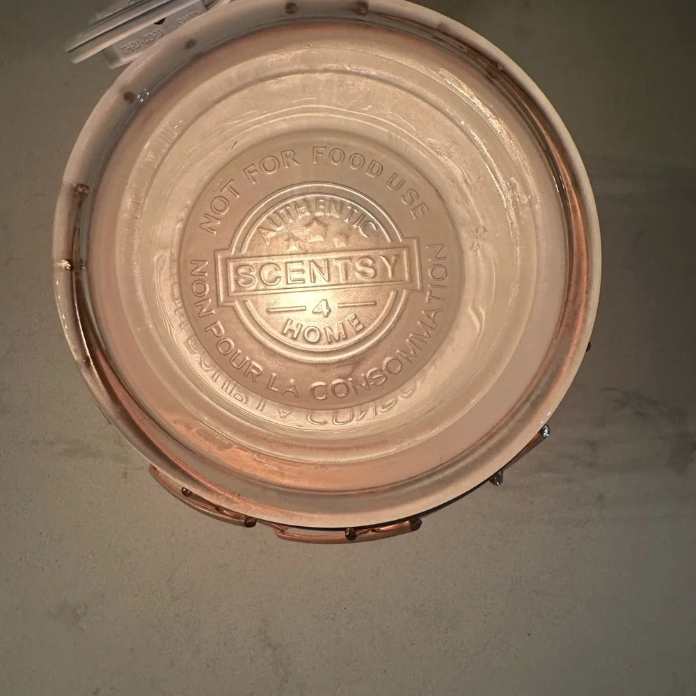 Scentsy Wire‎ You Blushing Plug In Warmer Night Light